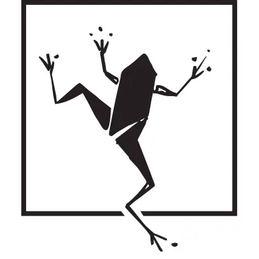 frog studio